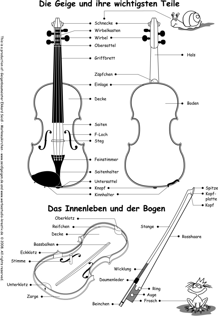 Grafik - Die Bestandteile der Geige